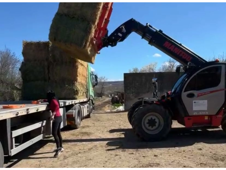 Още храна за стадото на Бай Рибан