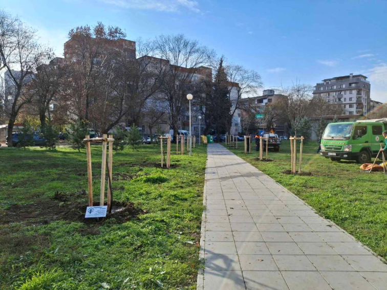 Сдружение “Родолюбци за Пловдив организира залесяване в район “Южен”
