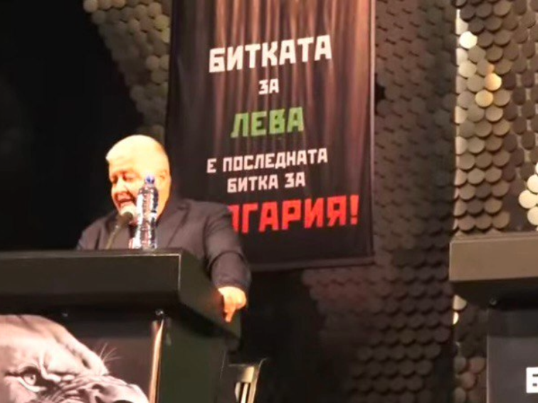 Срещата в НДК - защита на лева или партийно събрание