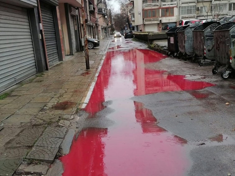 Розовата вода в Пловдив изкара на показ държавните служители, които са забравили  на кой служат