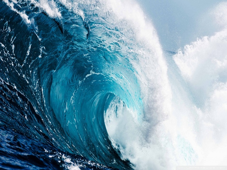 Тестовата новина на Петко